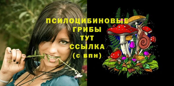 бошки Балахна